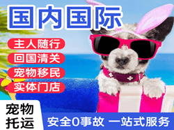 天津空运国际宠物托运 【国